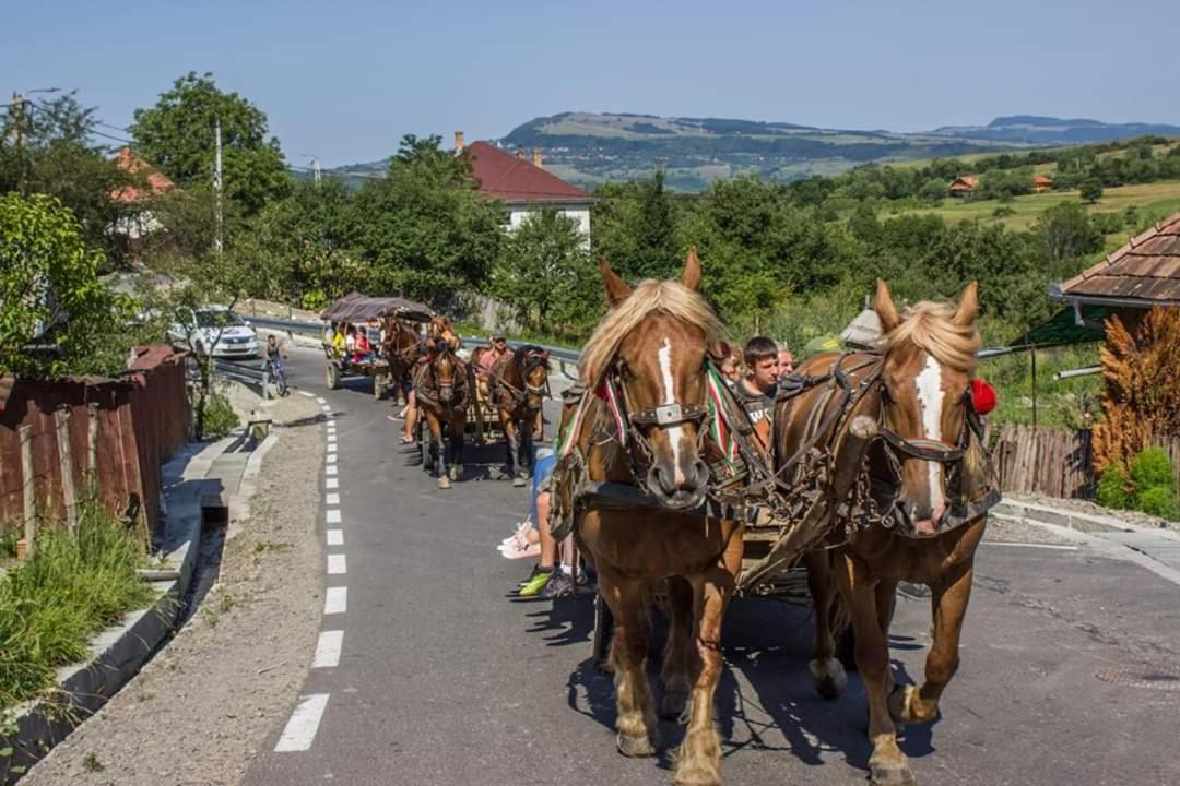 Lörincz Vendégház Korond Kültér fotó