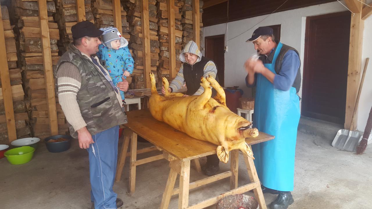 Lörincz Vendégház Korond Kültér fotó